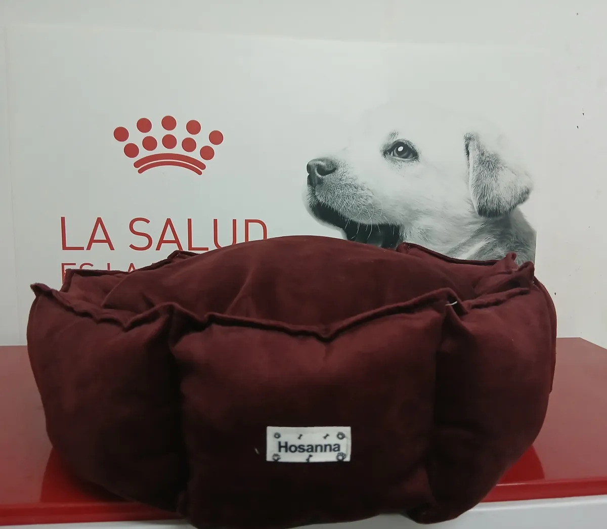 Camitas para perros y gatos