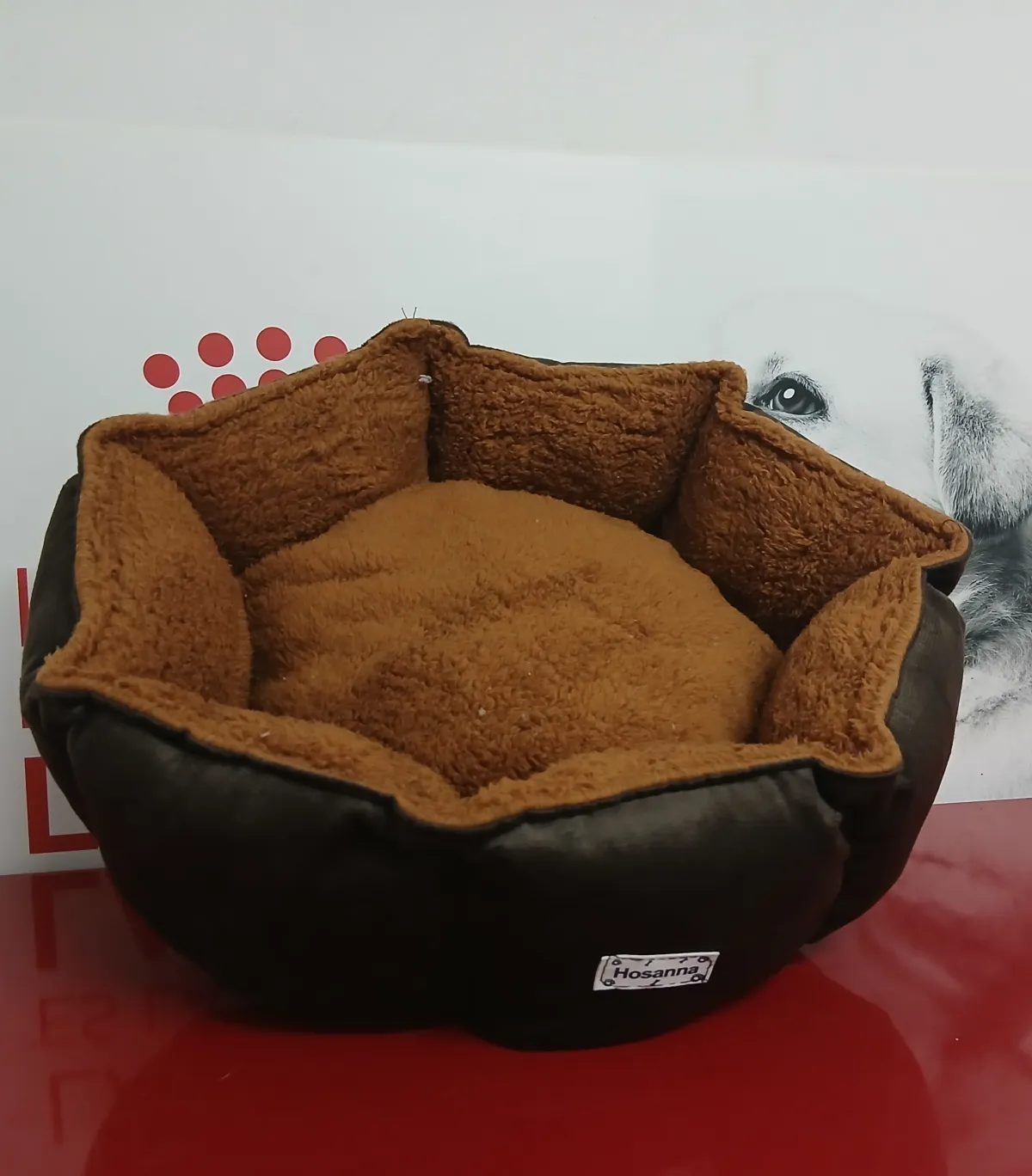 Camitas para perros y gatos